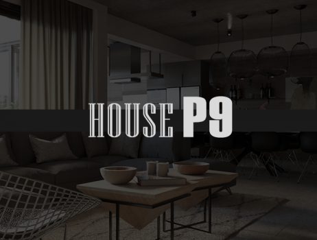 HOUSE P9